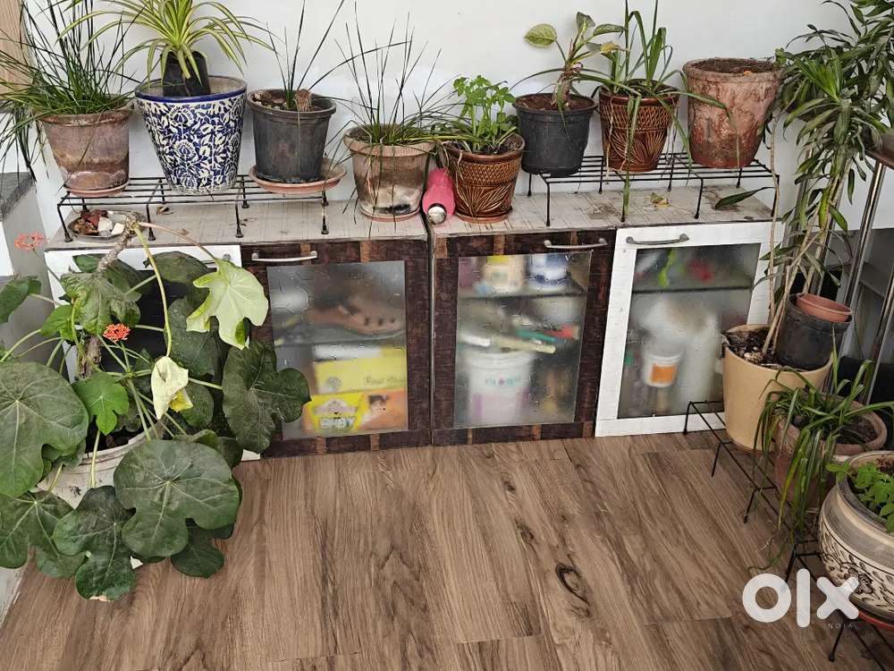 Storage rack