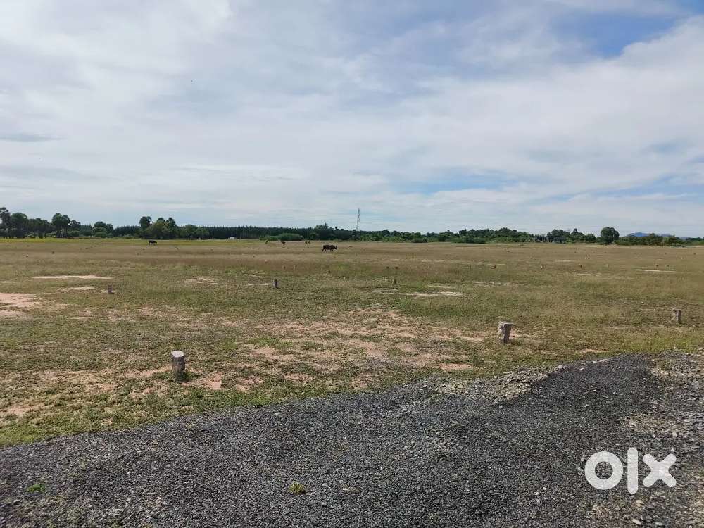 Plot for sale(NEGOTIABLE)
