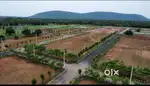 Raghu college back side