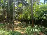 34 cents of converted dry land for sale