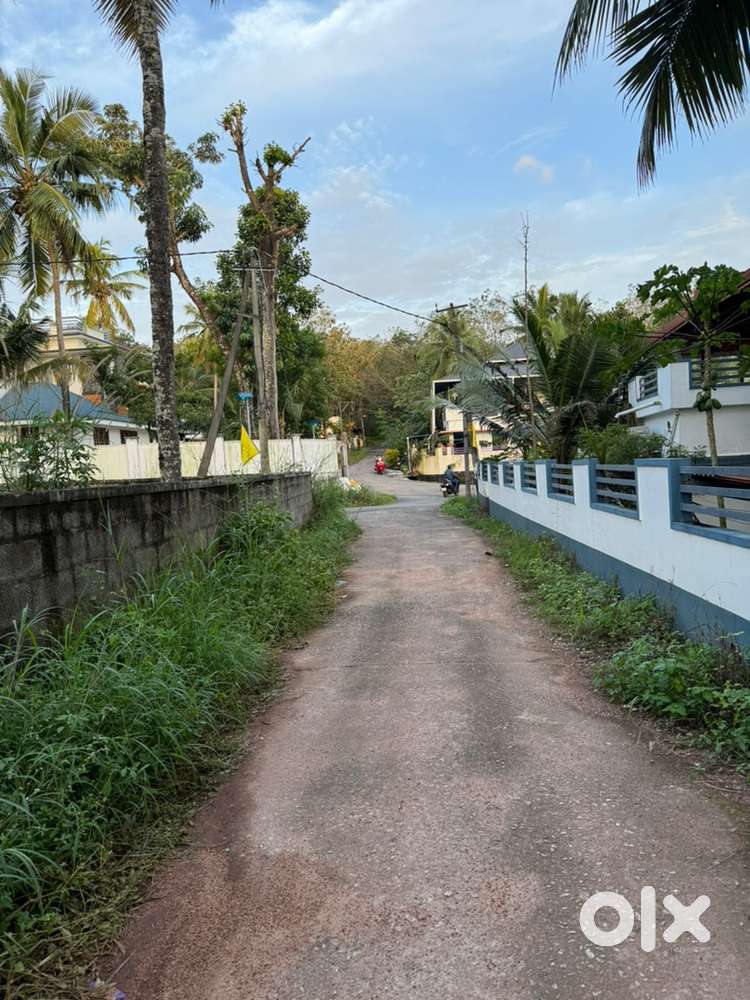 8 Cent Residential Plot for Sale – Ideal for House Construction