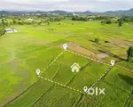 Villa Plots