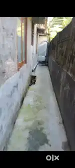Room rent available