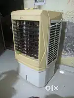 Cooler  scat company 2y old