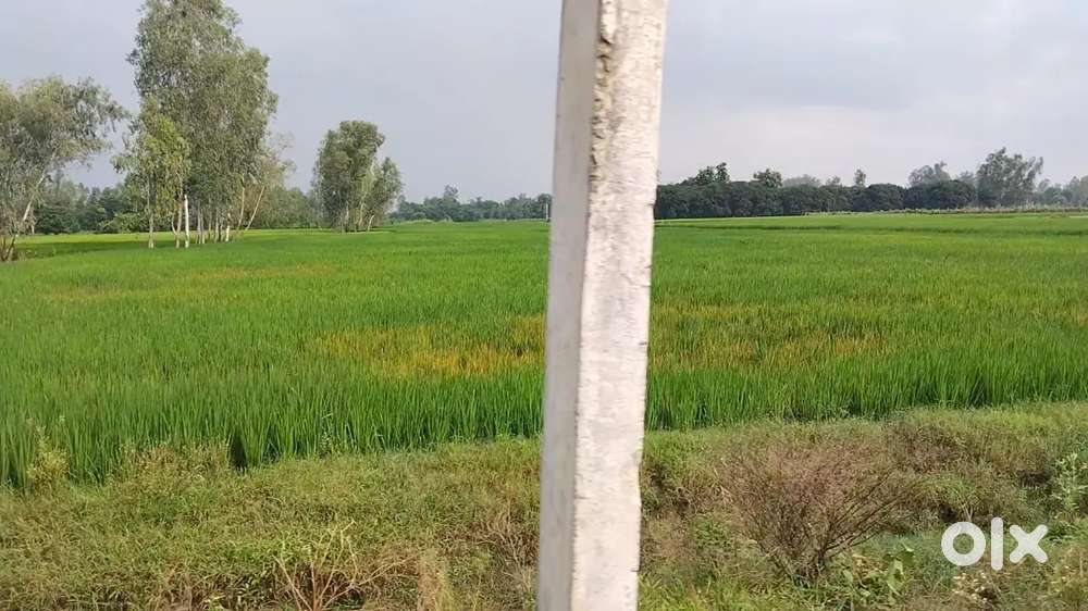 इस जागरण के नवरात्रि ऑफर में सबसे सस्ता प्लॉट बुक करें