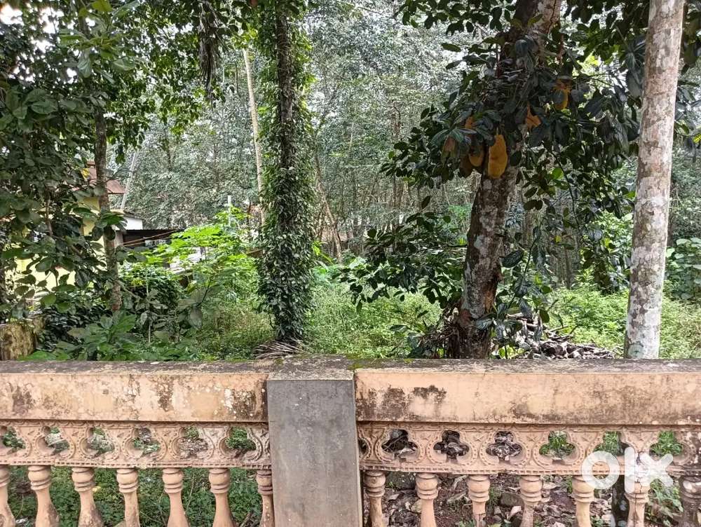 20cents road side near SNHSS Uzhamalakkal for Sale