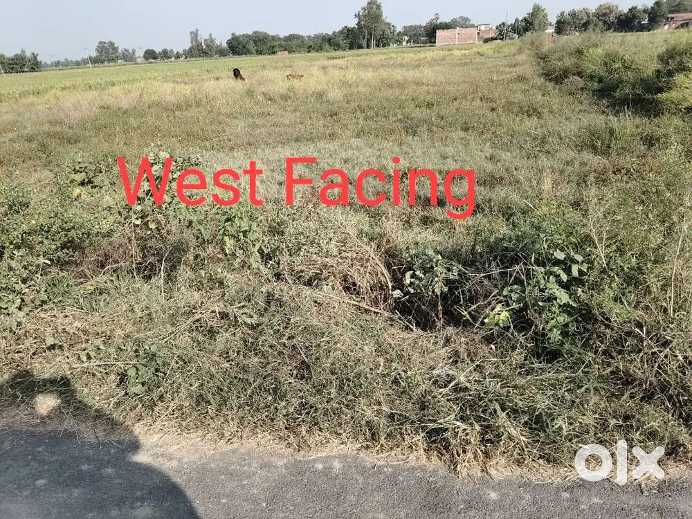 21 डिसमिल जमीन बिकाऊ है