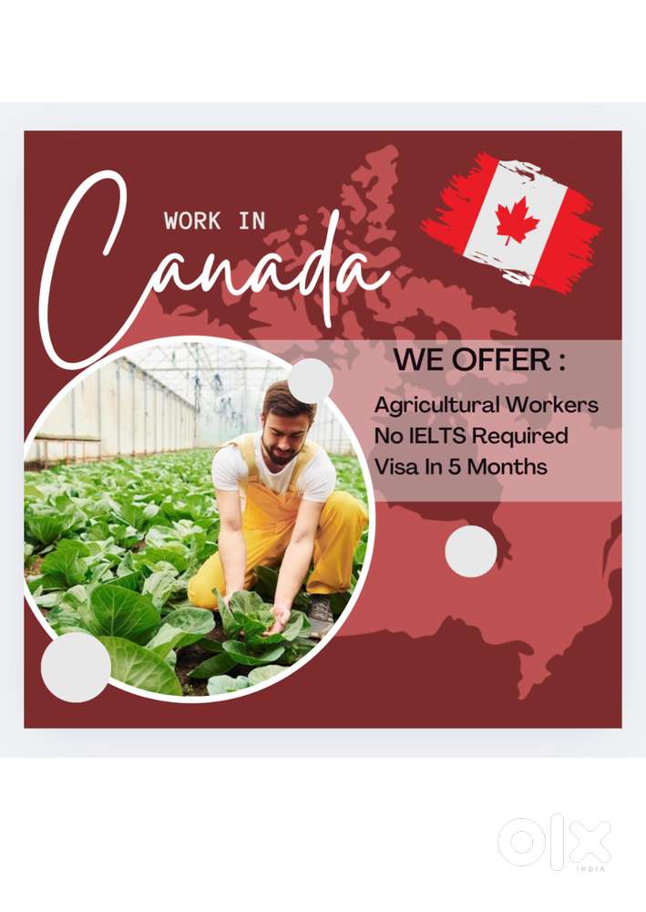 urgent requirement for female receptionist