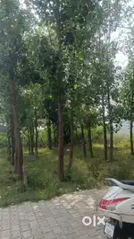 Plot For Sale