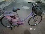 Lady bird cycle