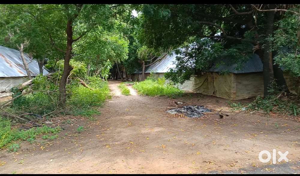 Farm land for sale