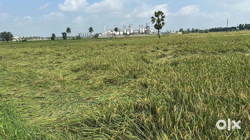 Sell for agricultural land