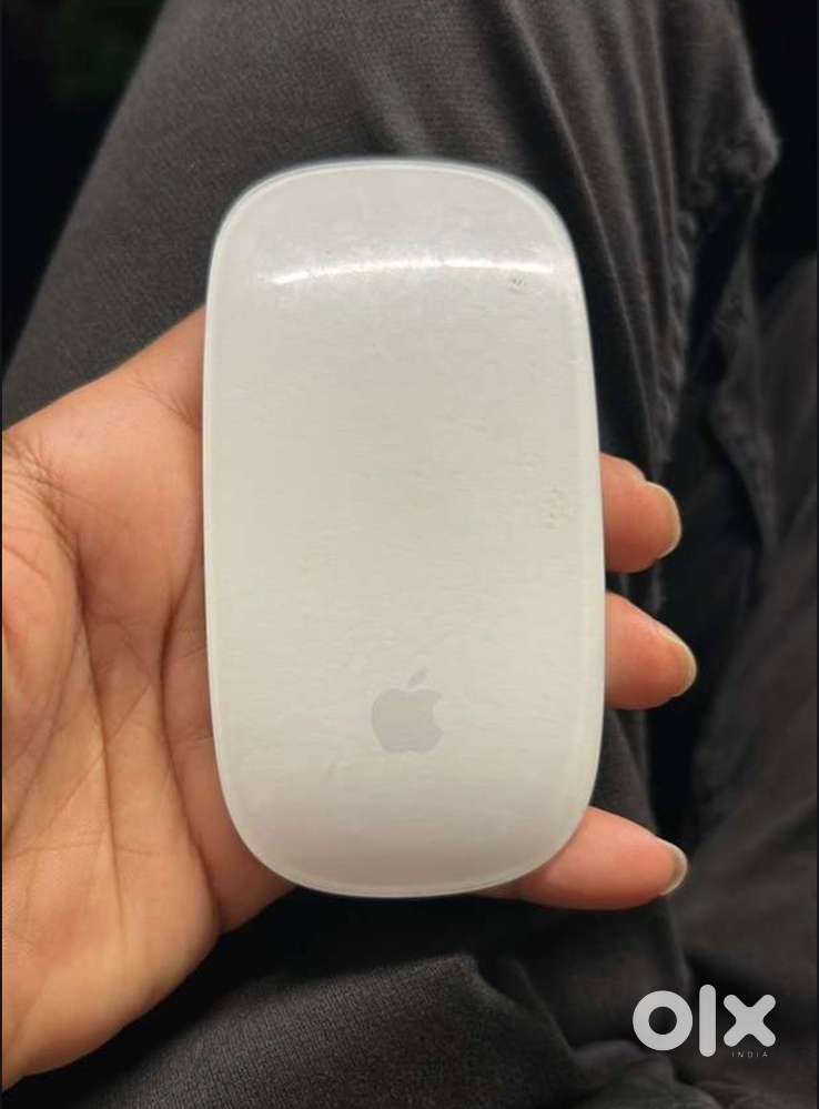 Magic mouse 2