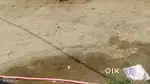 Mughalsarai tahsil ke pas
