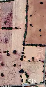 Farmhouse land