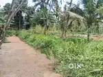 10 Cent Plot for immediate Sale