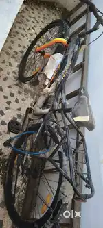 Avon cycle