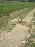 4 bigha land sell