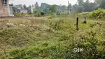 জমি বিক্রি Aranghata Station  থেকে 5 মিনিট হাটা পথ