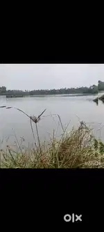 10 acre fish/ agricultural site