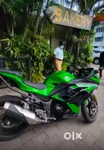 Ninja 300 2022
