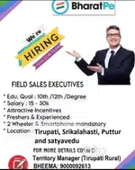 Field sales executive in BHARATPE