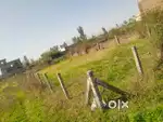 Gosainpur pathankot