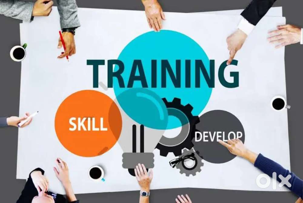 Finance Job Training – Accounts Payable/Receivable & Collections