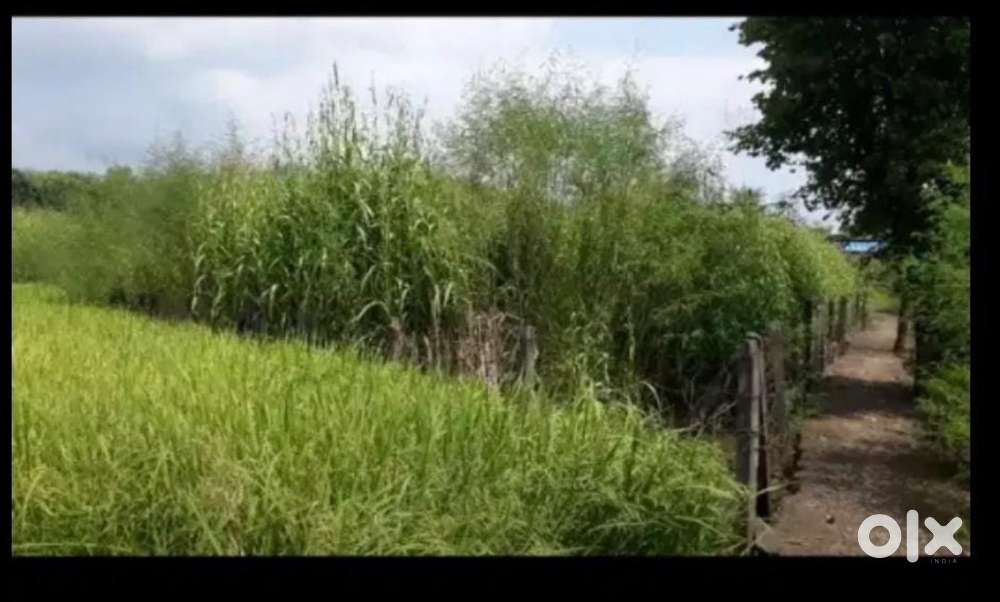 6.4 guntha Agriculture land