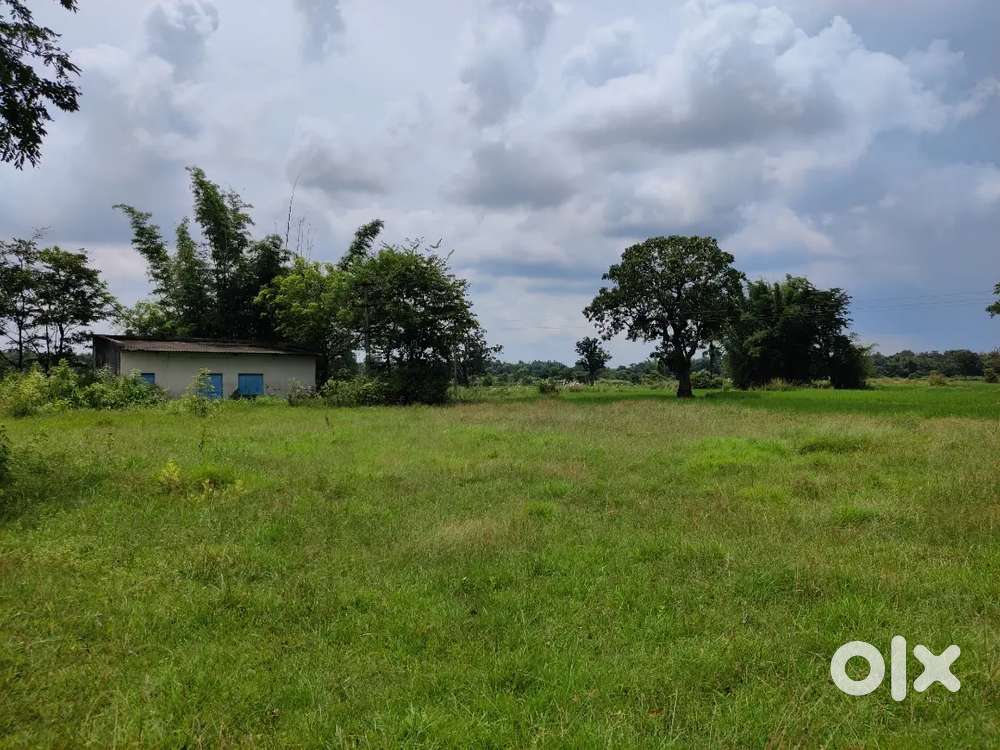 20 decimil Land sale at affordable price