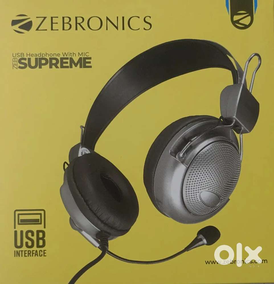 Zebronics Headphone with Mic (USB)
