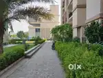 3 bedroom apartment in Hermitage park near K area Dhakauli Zirakpur