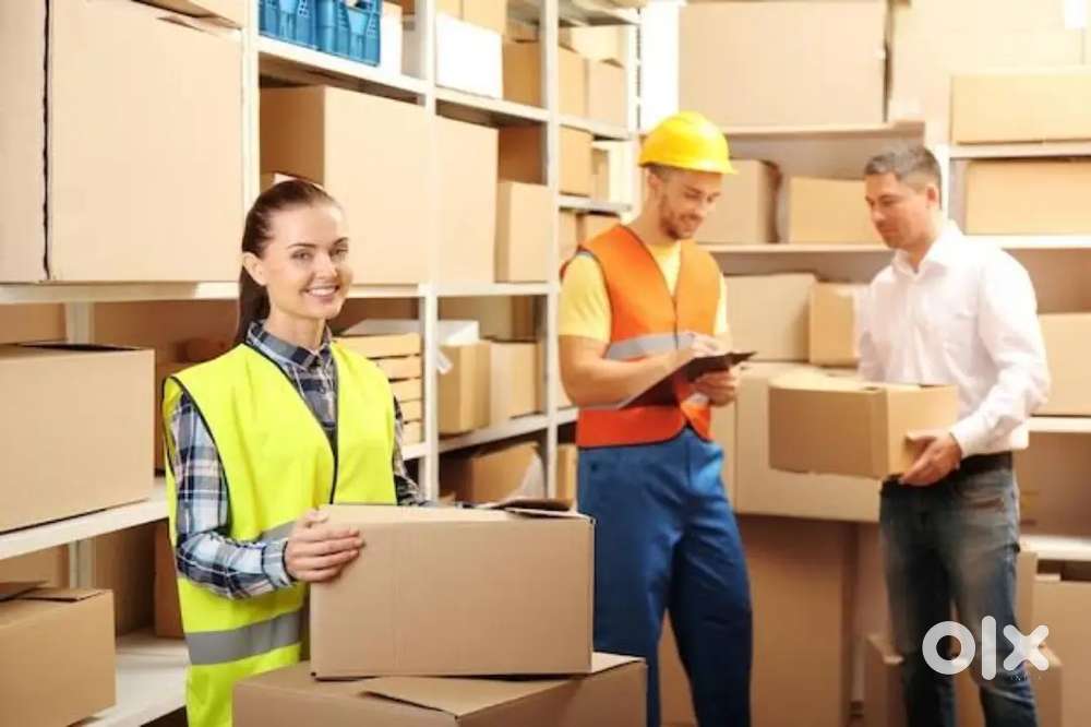 वेयर हाउस में पैकिंग //हेल्पर // स्कैनिंग के लिए डायरेक्ट ज्वाइनिंग