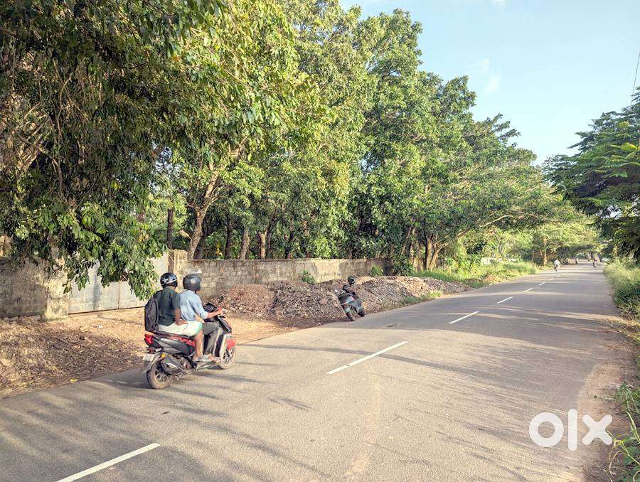 Commercial land 1.60 acres near Kanjikuzhy 7.5 lakh/cent