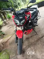 TVs raider, 4yr old