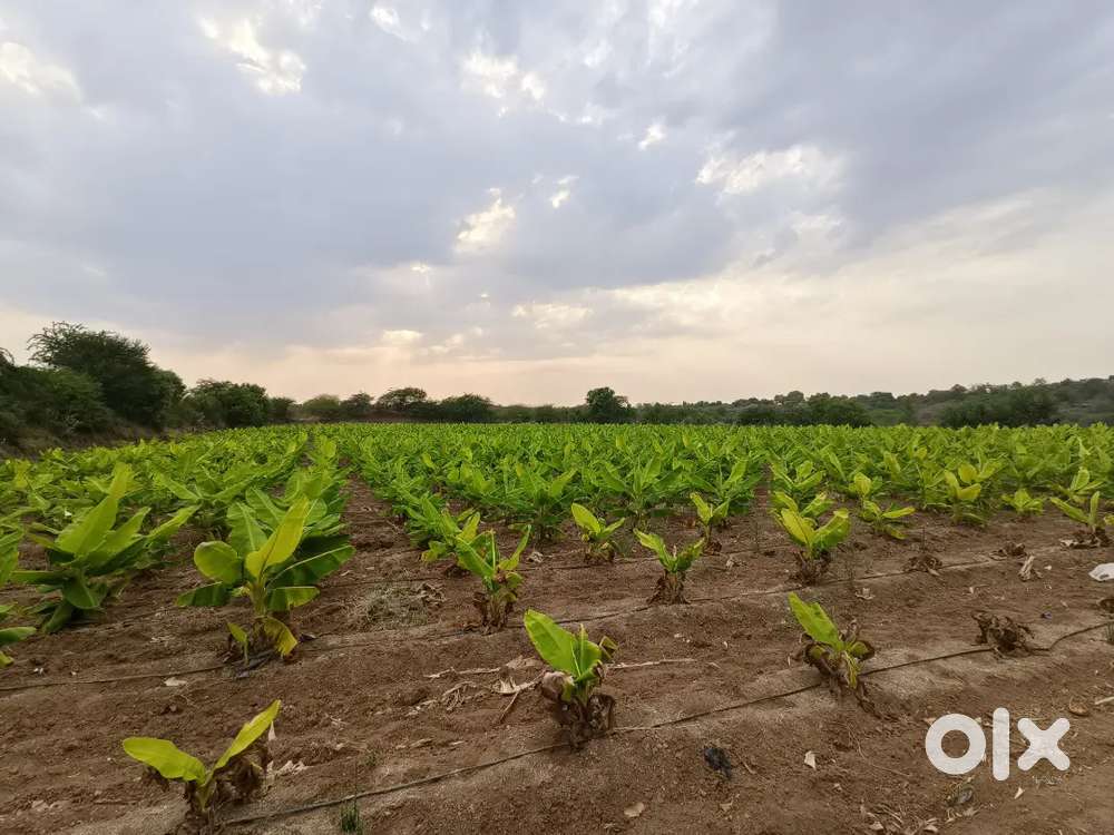 2 acres agriculture land for sale