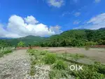 Investment land