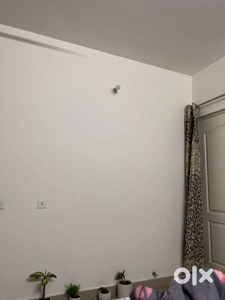 Flat on rent searching flatmate