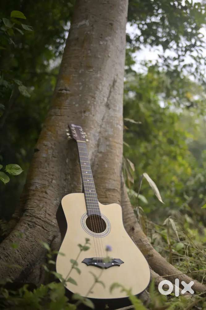 Revel 38c guitar