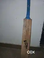 Cricket Bat