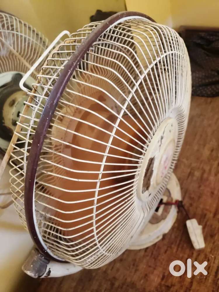 Roxy table fan 12