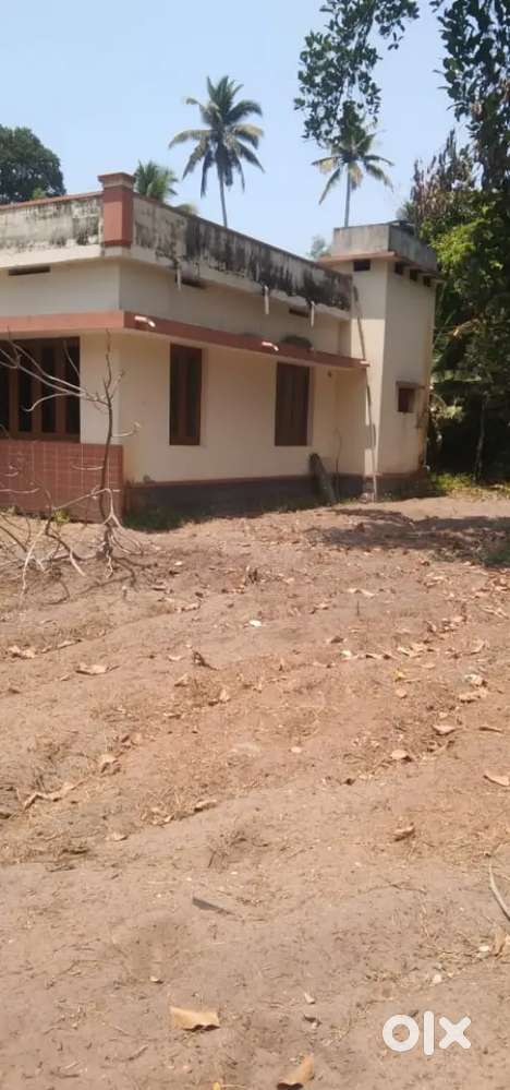 Plot for sale near Alapey medical college