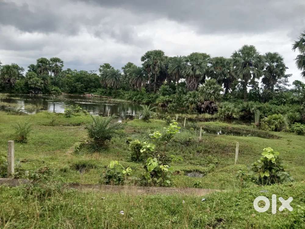 Polt raiti  without any ligation on main highway road