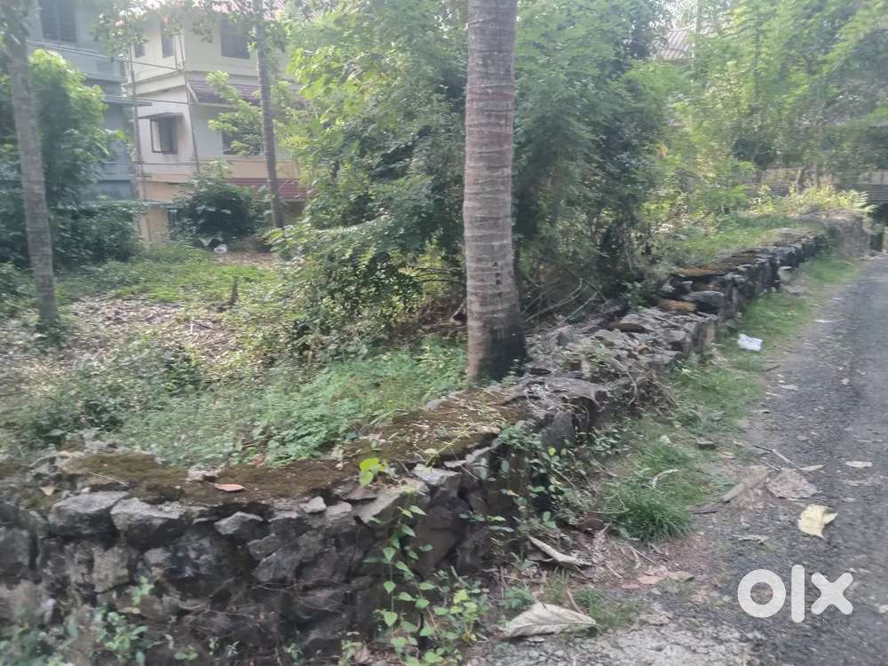 ORGINAL RESIDENTIAL LAND FOR SALE  15 CENT KAKKANAD INFOPARK NEAR