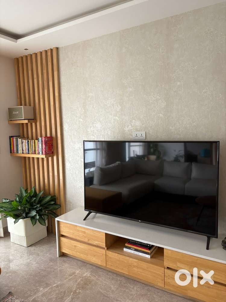 LG 65 inches TV