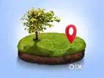 Premium Commercial land for rent at kakkanad