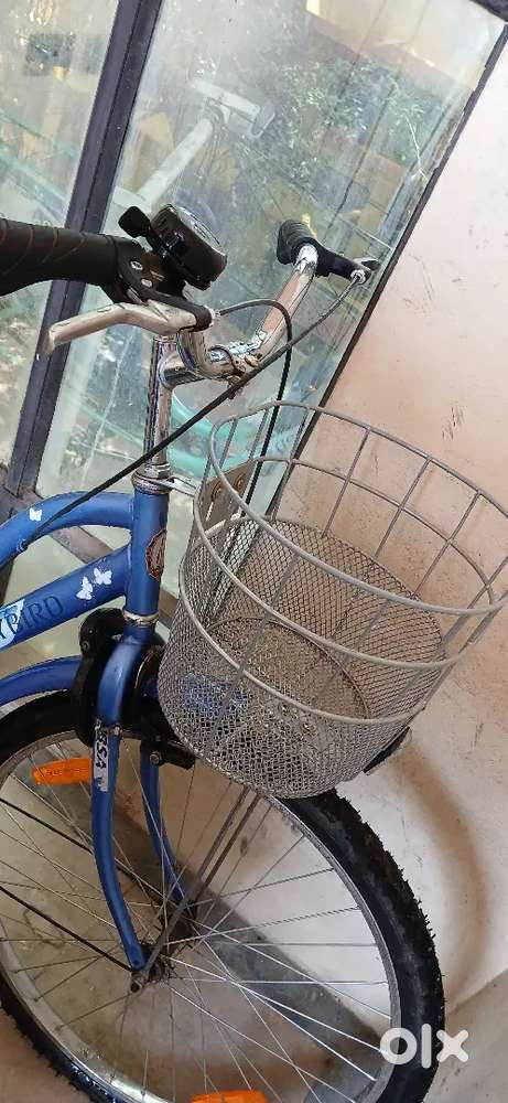 BSA lady bird cycle..