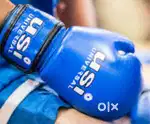 Boxing gloves