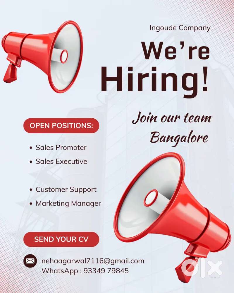 Luxury Tea & Gift Set Promoter (Supermarket)