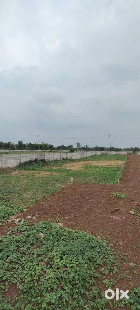 Airport facing. Visiblity of flights and airport